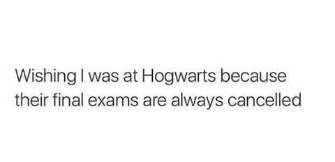 You+also+had+your+own+owl
