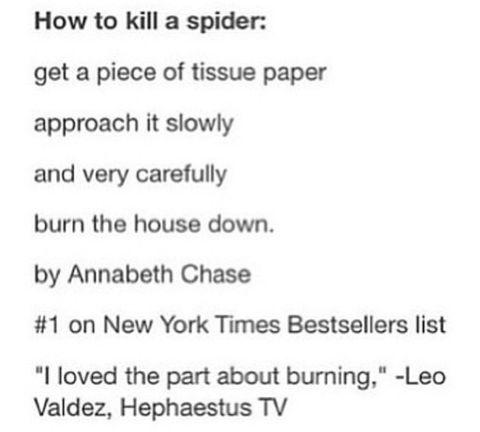 How+to+kill+a+spider