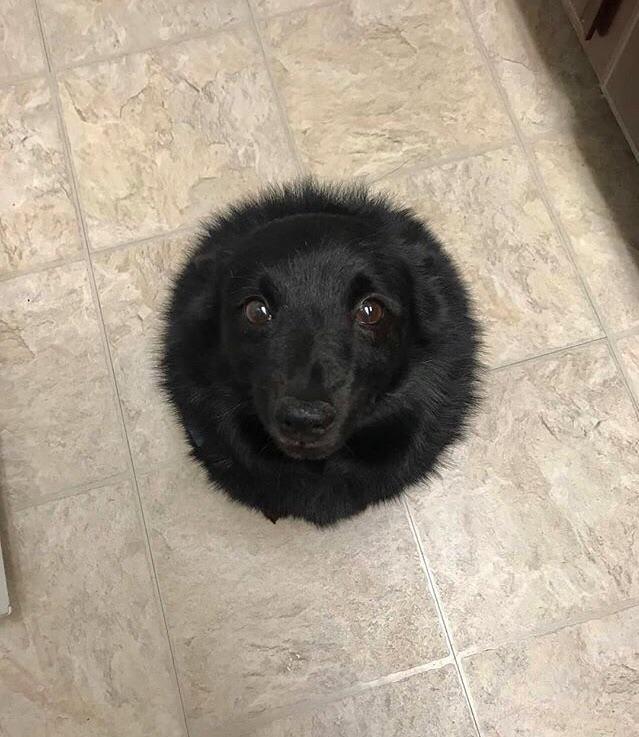 Fuzzy+Black+Hole