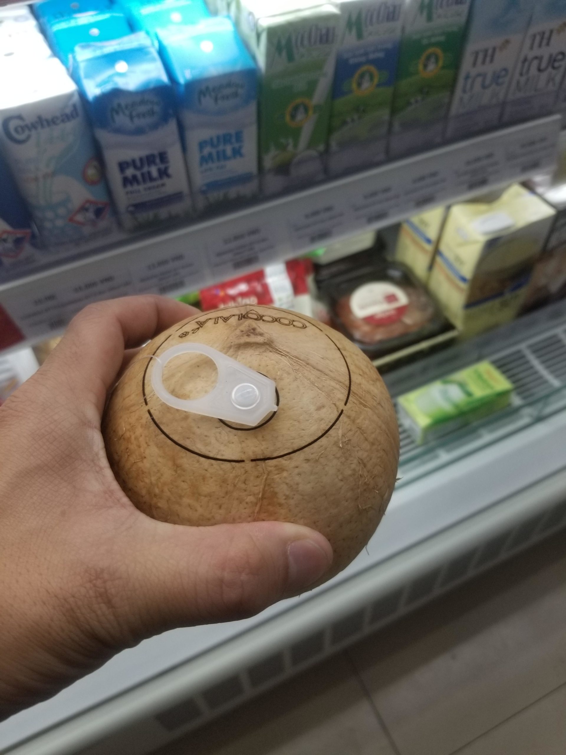 Coconut+with+a+pop+top