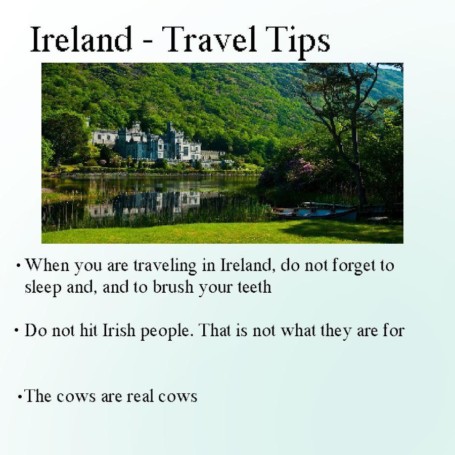 Welcome+to+Ireland.+Please+be+aware+that+the+cows+are+real.