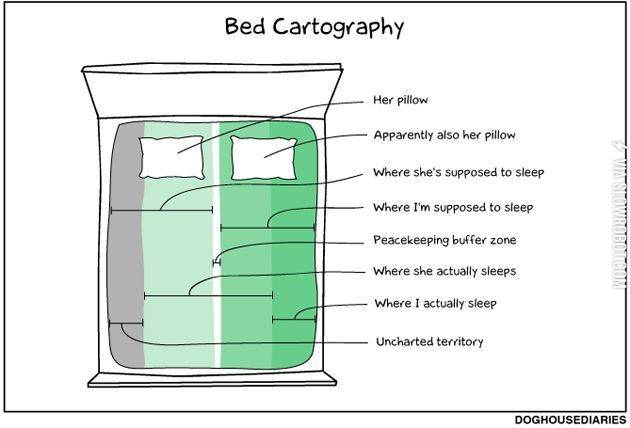 Bed+cartography.