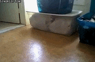 How+to+park+a+kitty.