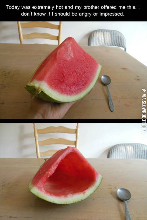 That%26%238217%3Bs+what+brothers+are+for.