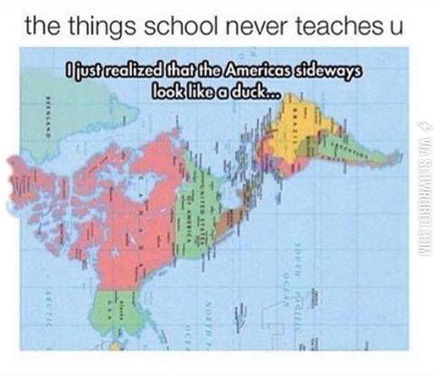 the+things+school+never+teaches+you