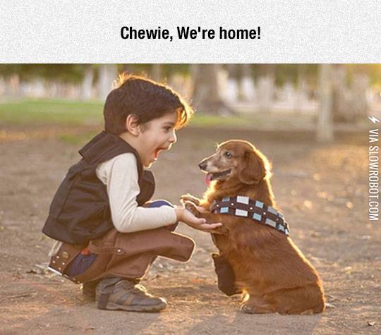 The+Cutest+Han+Solo+And+Chewie+Cosplay
