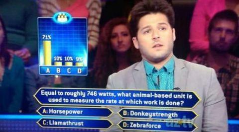 Measure+all+the+things+by+how+hard+the+llamas+are+thrusting