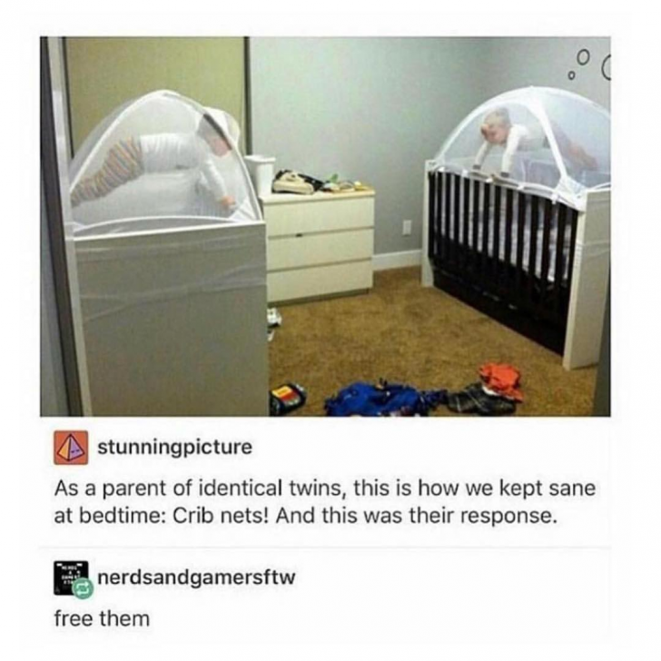 identical+twins+cribs