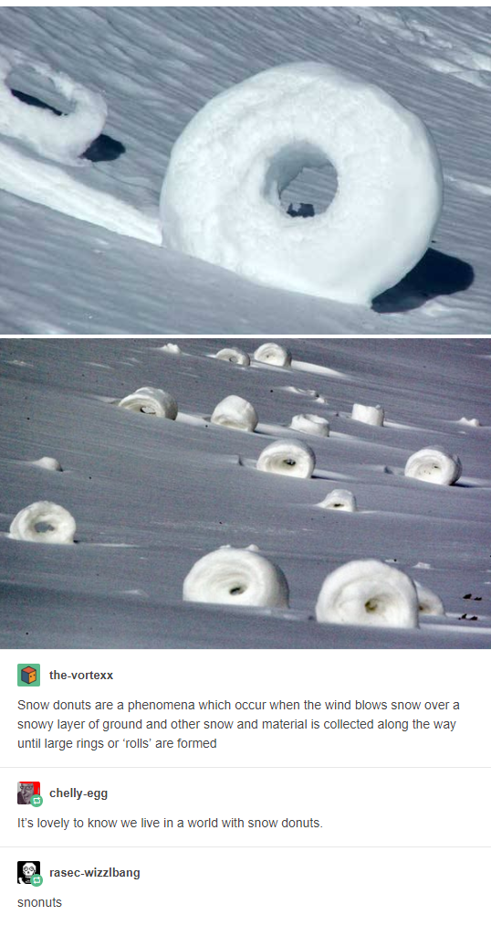 So+this+is+a+thing+that+exists