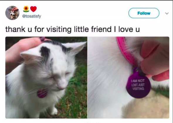 Or%2C+please+don%26%238217%3Bt+steal+me%26%238230%3B