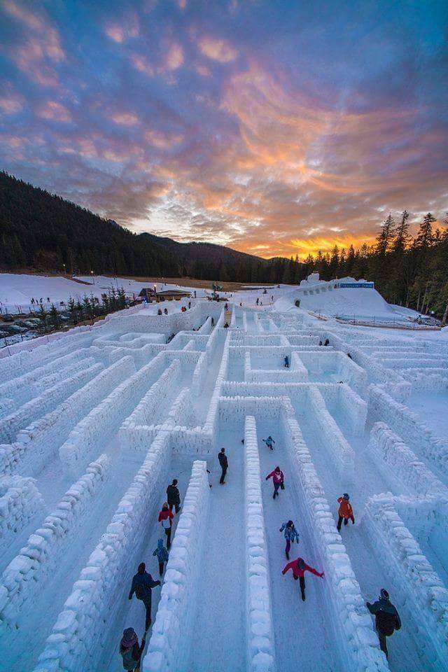 Snow+Maze