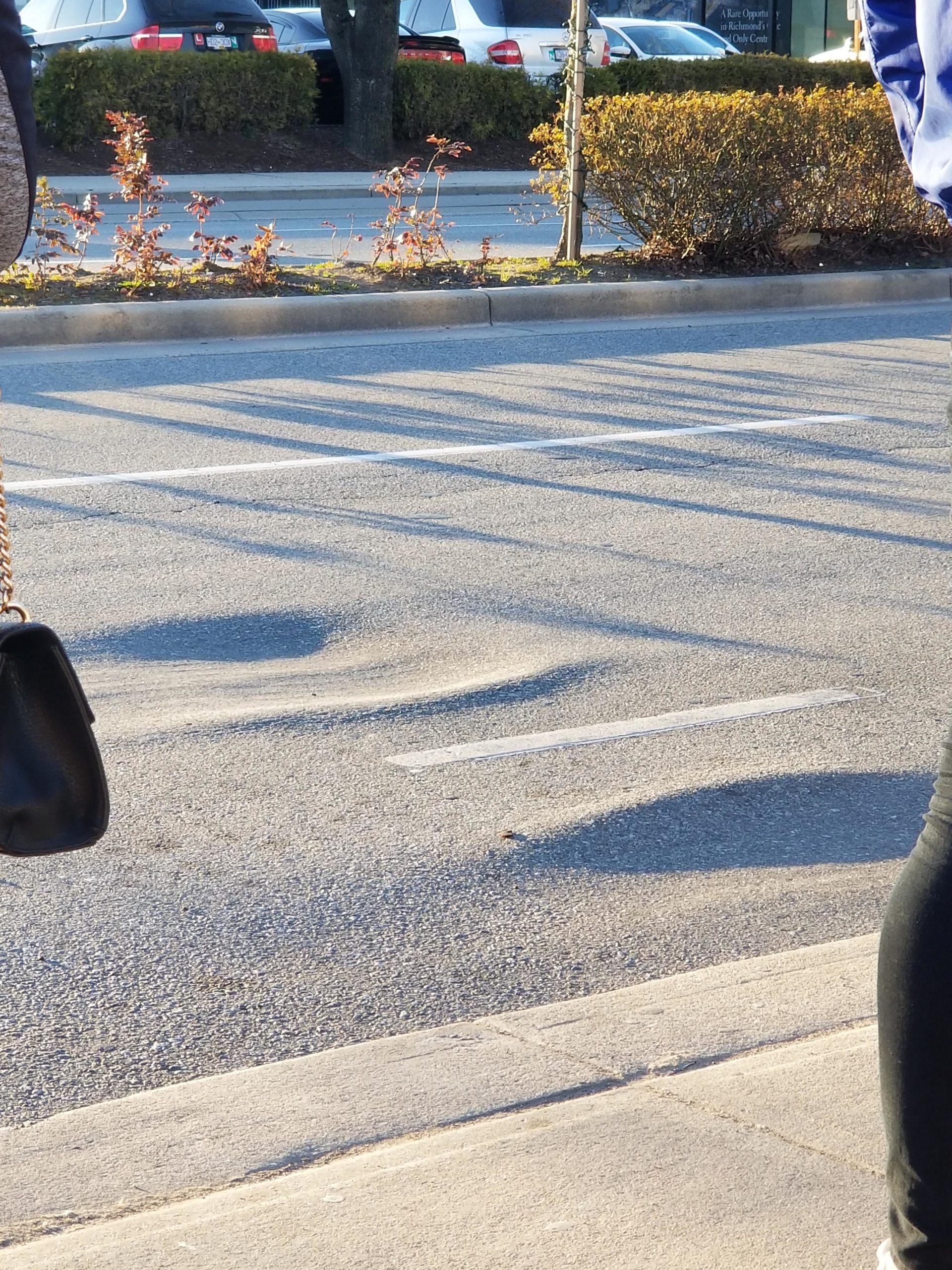 The+bus+stops+here+so+often+that+there%26%238217%3Bs+a+massive+dent+in+the+road