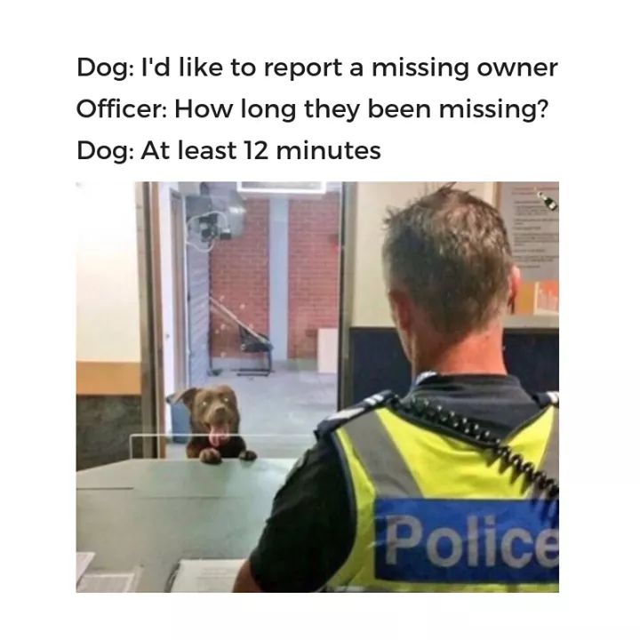 When+dogs+call+911%26%238230%3B