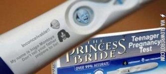 The+Princess+Bride+Teenager+Pregnancy+Test