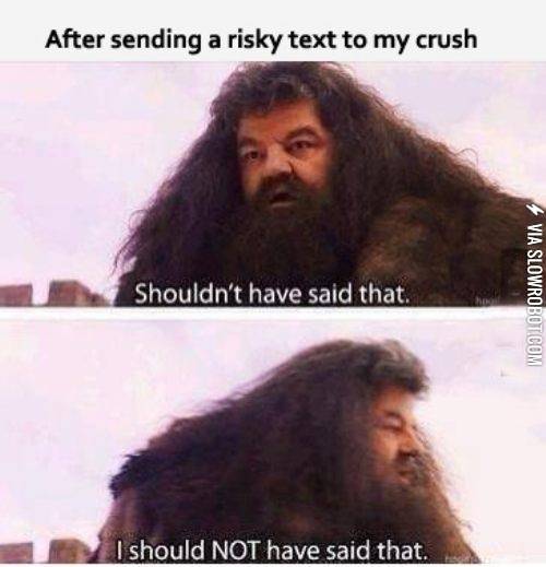 After+sending+a+risky+text+to+my+crush%26%238230%3B