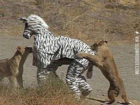 Googled+%26quot%3BWorst+idea+ever%26quot%3B