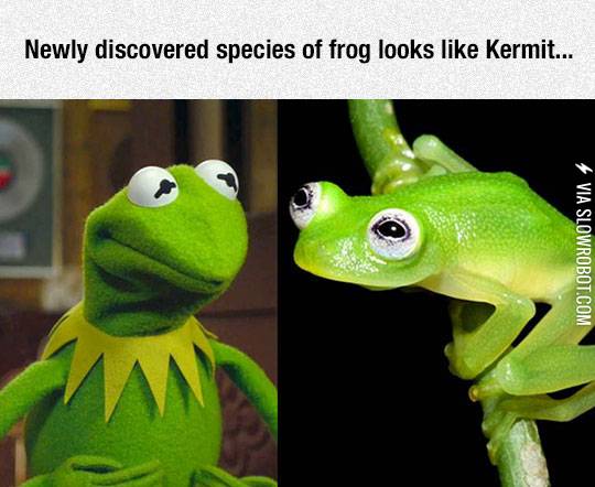 It%26%238217%3Bs+Not+Easy+Being+Green