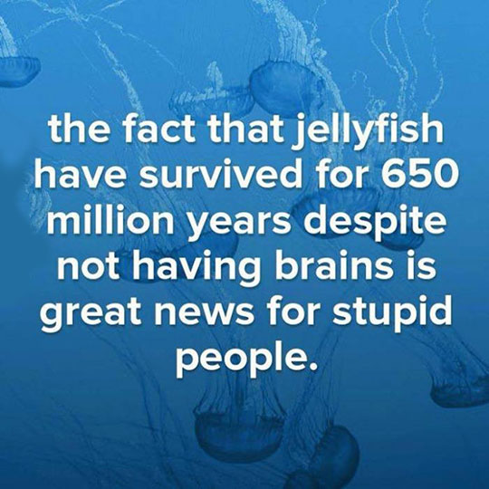 Great+News%2C+You+Know