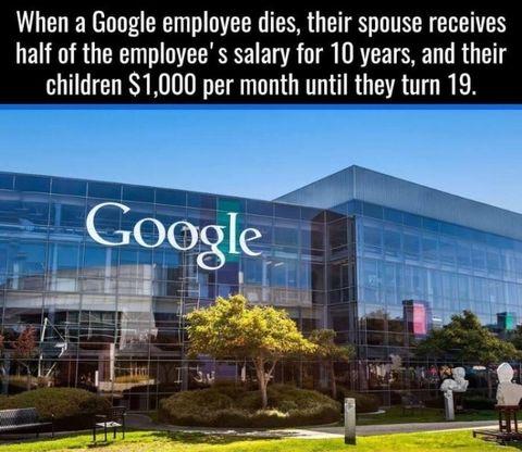 One+of+the+perks+of+working+at+Google