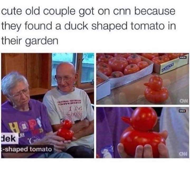 Tomato+duck%21