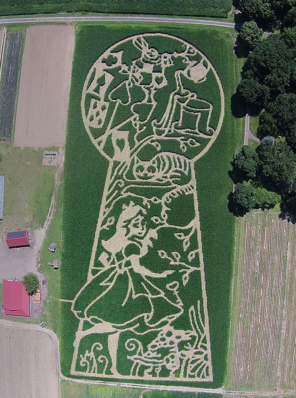 Aerial+photograph+of+an+Alice+in+Wonderland+themed+corn+maze