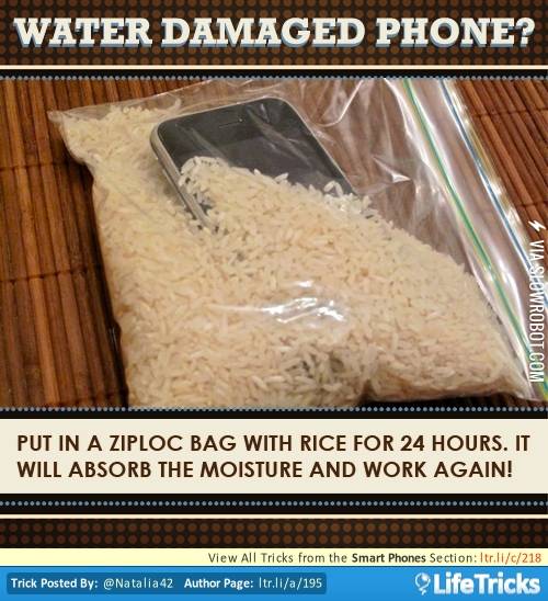 Have+a+Friend+that+Dropped+their+Phone+in+the+Toilet%3F