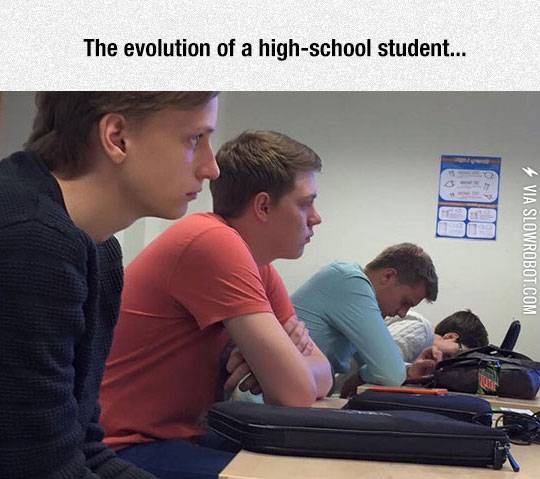 Student+Evolution