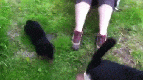 %26quot%3BNo.%26quot%3B