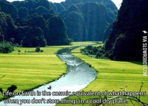 Pretty+much+life+on+earth