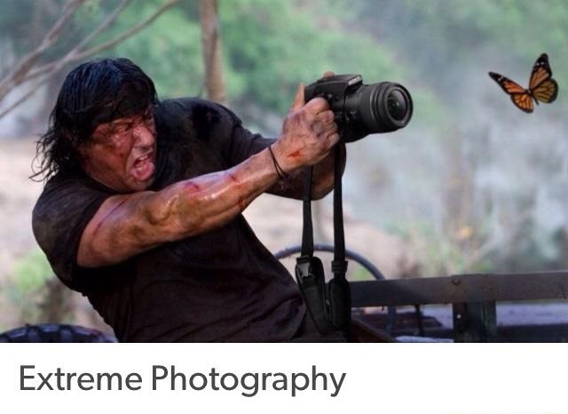 Butterflies%21%21%21%21