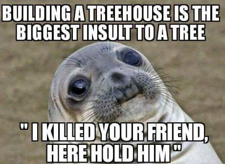 How+to+insult+a+tree