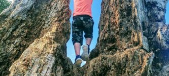 Boy+climbing+an+old+rotten+tree+stump+looks+like+a+giant+climbing+mountains.