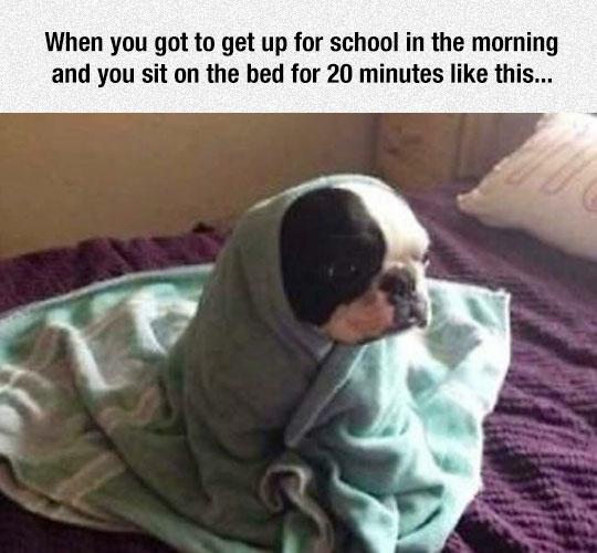 I%26%238217%3Bm+not+ready.