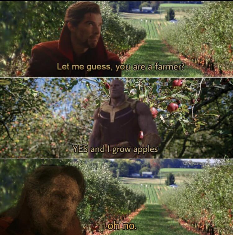 A+apple+a+day+keeps+the+doctor+away