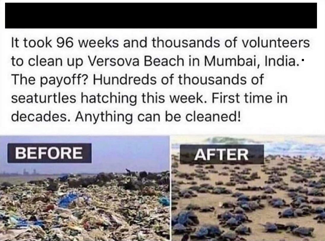 Are+we+not+turtley+enough+for+the+Turtle+Club%3F