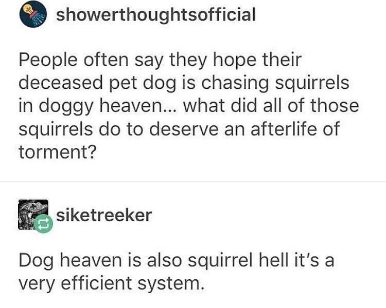 God+is+so+quirky+sometimes