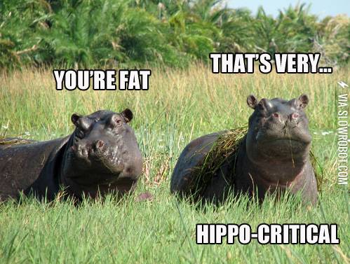 You%26%238217%3Bre+fat.