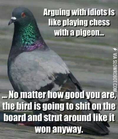 Arguing+with+idiots.