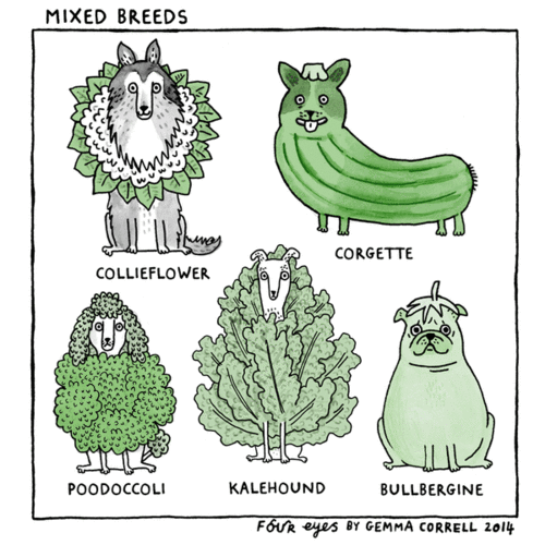 Mixed+breeds.