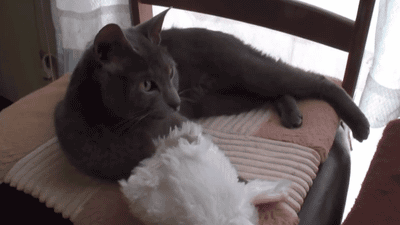 Let+me+slip+in+to+something+more%26%238230%3B.comfortable.