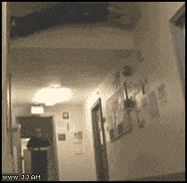 The+20+minute+wait+was+worth+it.