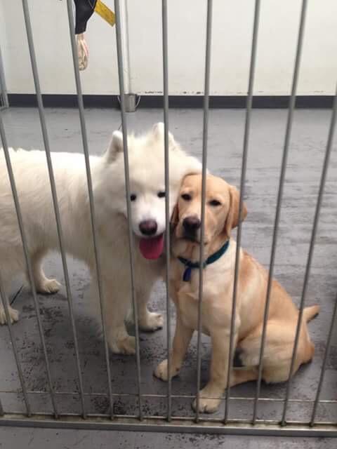 That+one+friend+who+doesn%26%238217%3Bt+understand+personal+space