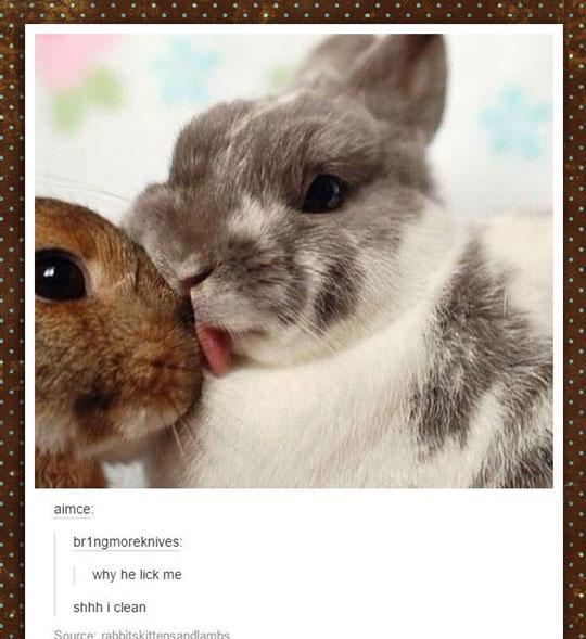 Shhh.+Don%26%238217%3Bt+fight+it.