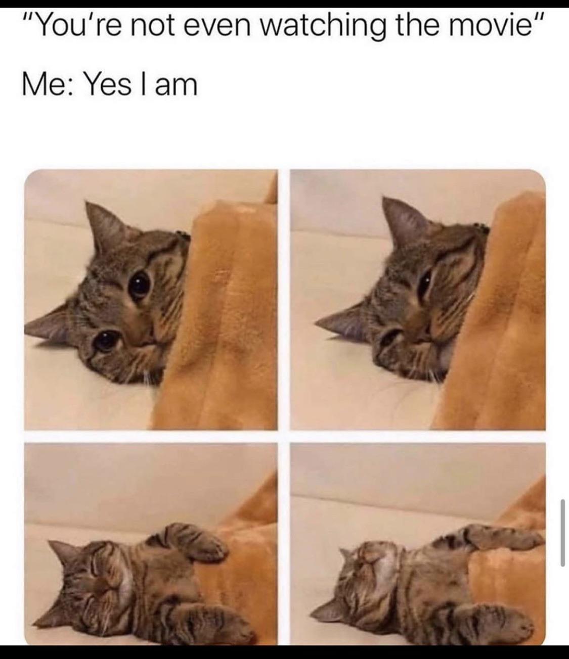 Competitive+Netflix+and+chill.