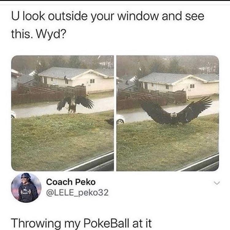 Gotta+catch+that+specific+one%26%238230%3B