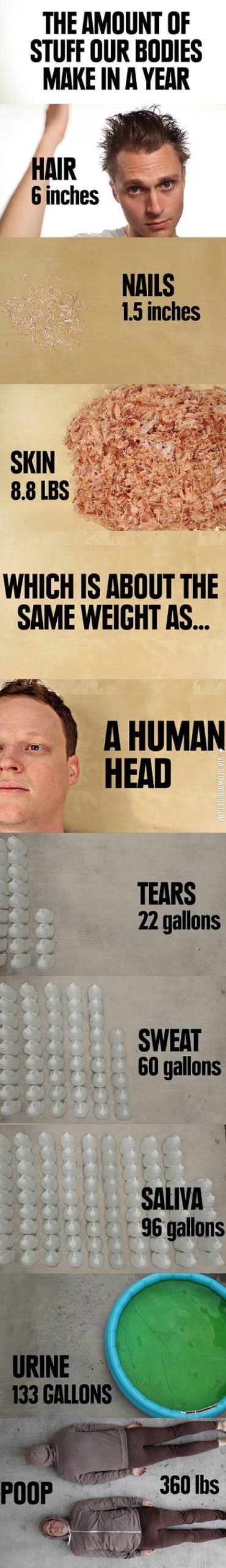 The+amount+of+stuff+our+bodies+make+in+a+year.