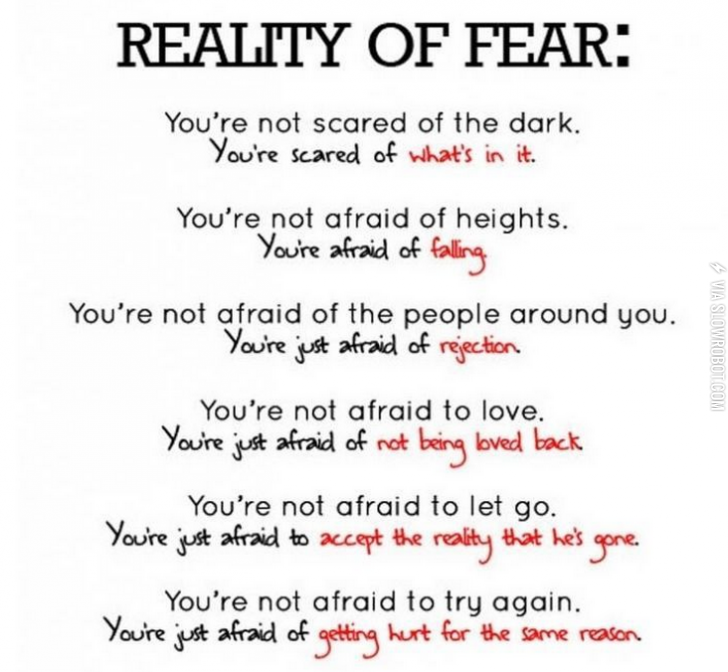 The+Reality+of+Fear%26%238230%3B