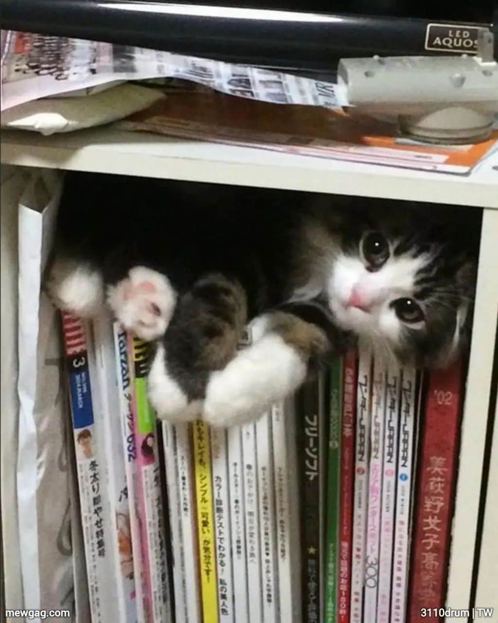 %2Agoes+missing+for+four+hours%26%238230%3B%2A