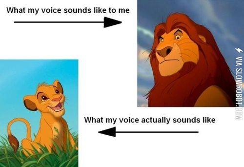 What+my+voice+sounds+like.