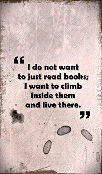 How+I+feel+about+books.